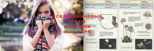 экстази Осташков