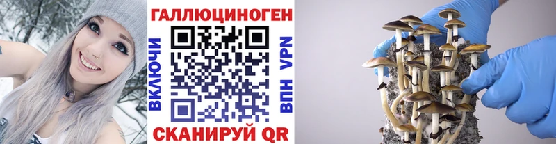 Галлюциногенные грибы GOLDEN TEACHER  где найти наркотики  Сорск 